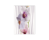 #Панель ПВХ Эйфория Узор 738 2700*250мм Premium Lak ТМ Stella (1/8шт)