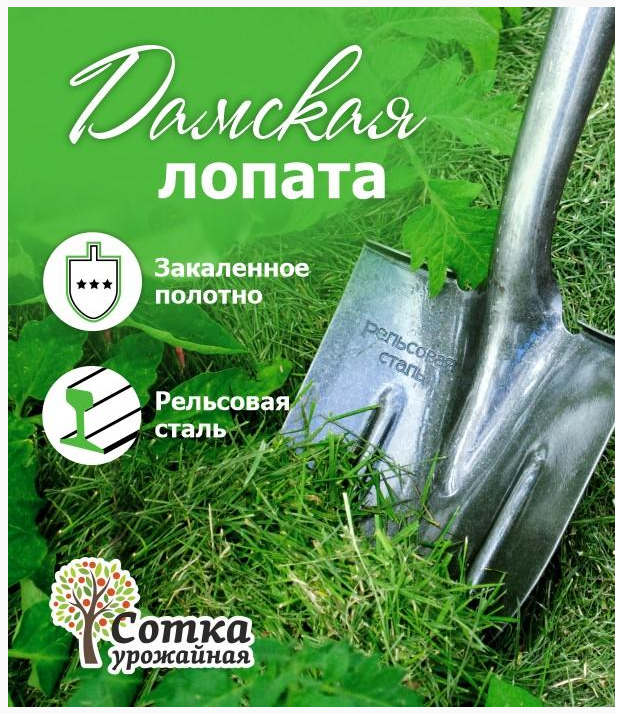 Лопата штыковая, дамская, ЛД рельс.сталь, с ребр.жест с краш деревян.черенк., Урожайная сотка