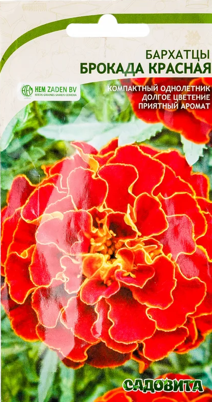 Бархатцы Чемпион красные (Аэлита)