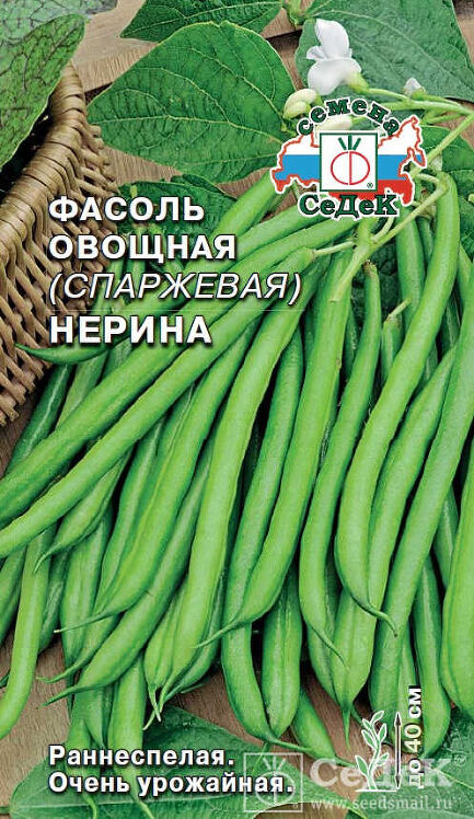 Фасоль Нерина спаржевая (СеДек)