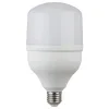 Лампа светодиодная ЭРА LED smd POWER 20W-6500-E27 T80 (Б0027011)