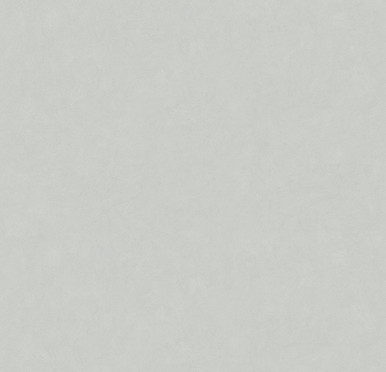 Обои 585115 (1,06*10,05м) компакт-винил/флиз фон Magnolia Victoria Stenova Россия/6