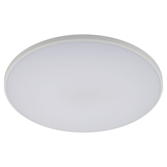 Светильник диодный 36Вт Луна 4000К 2880Лм D300х53мм белый Relight (20)