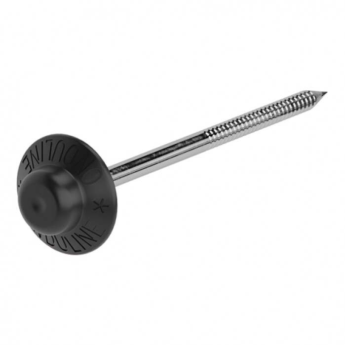 Гвозди для ондулина  Чёрные (1/100шт) упаковка