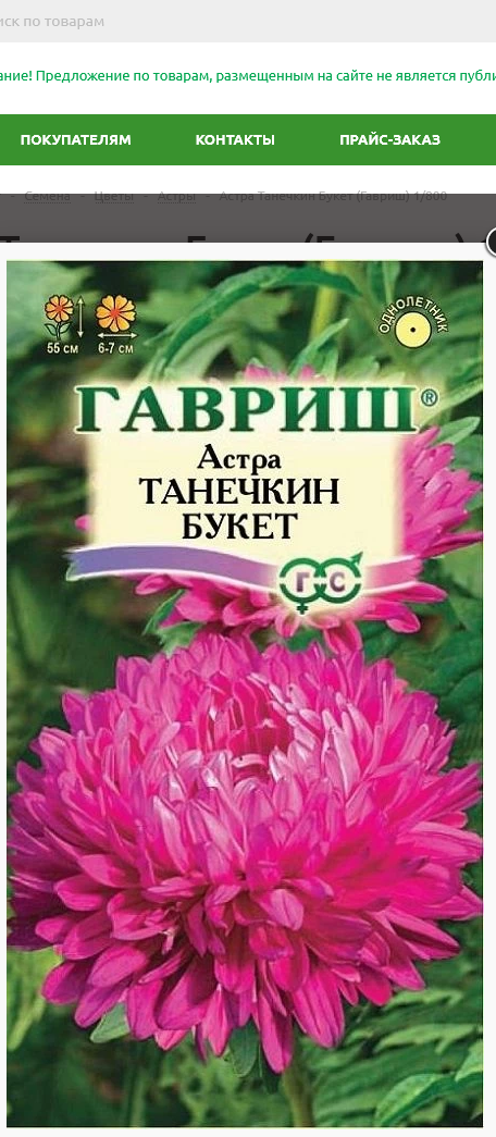 Астра Танечкин Букет (Гавриш) 1/800