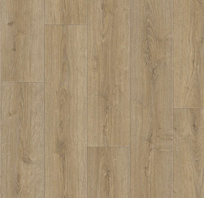 Линолеум 3,0м Дуб Фостер Таркетт (общая 2,5мм/защитный 0,15мм)