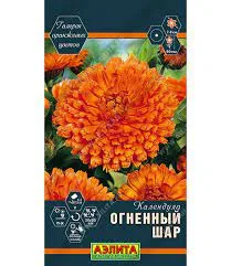 Календула Огненный шар (Аэлита)
