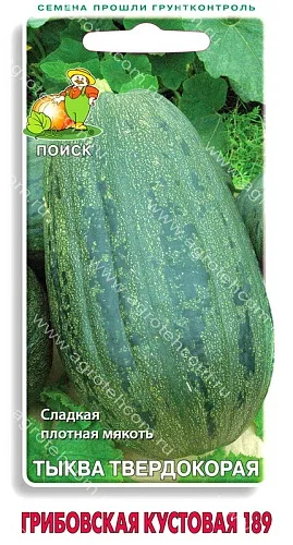 Тыква Грибовская кустовая 10шт (ПОИСК)