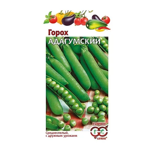 Горох Адагумский (Гавриш)