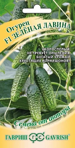 Огурец Зеленая Лавина (Гавриш)