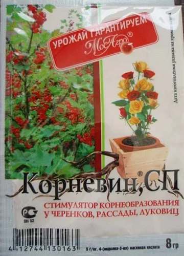 Корневин 8г 1/10/250 (МА)