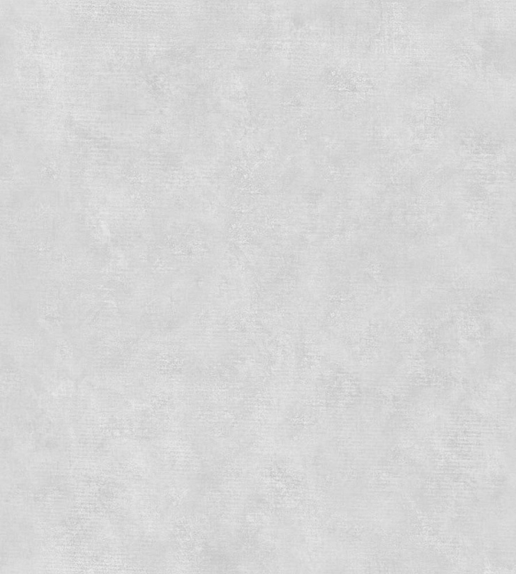 Обои 0,53*10,05м дюплекс Росток фон Д932-06 Decolor Саратов